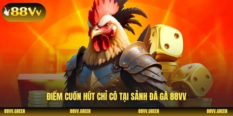 Điểm cuốn hút chỉ có tại sảnh đá gà 88VV