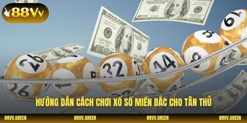Hướng dẫn cách chơi xổ số miền bắc cho tân thủ